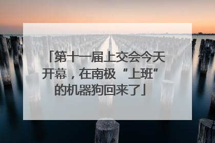 第十一届上交会今天开幕，在南极“上班”的机器狗回来了