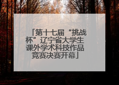 第十七届“挑战杯”辽宁省大学生课外学术科技作品竞赛决赛开幕
