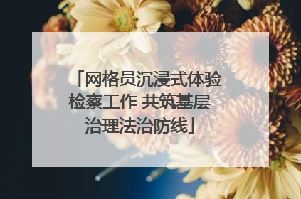 网格员沉浸式体验检察工作 共筑基层治理法治防线