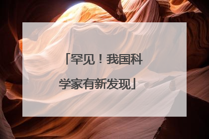 罕见！我国科学家有新发现