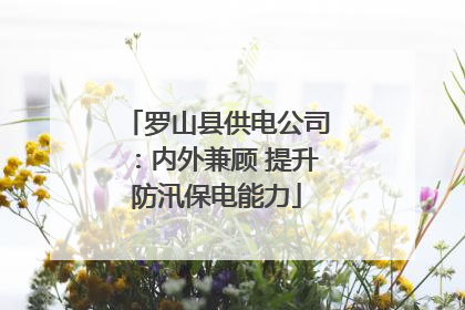 罗山县供电公司：内外兼顾 提升防汛保电能力
