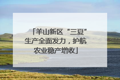 羊山新区“三夏”生产全面发力，护航农业稳产增收