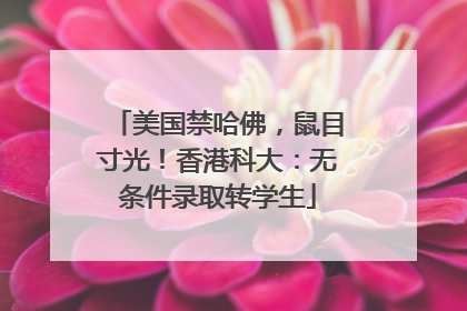 美国禁哈佛，鼠目寸光！香港科大：无条件录取转学生
