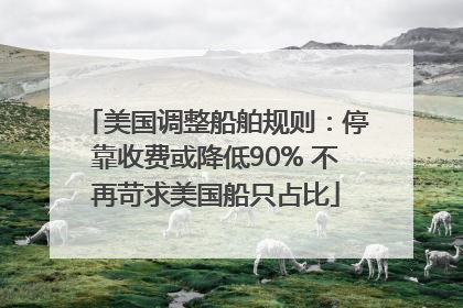 美国调整船舶规则：停靠收费或降低90% 不再苛求美国船只占比