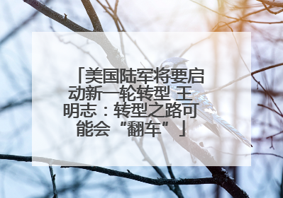 美国陆军将要启动新一轮转型 王明志：转型之路可能会“翻车”
