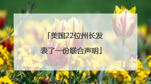 美国22位州长发表了一份联合声明