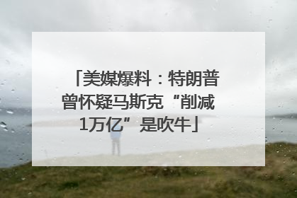 美媒爆料：特朗普曾怀疑马斯克“削减1万亿”是吹牛