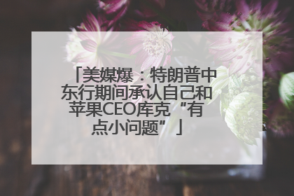 美媒爆：特朗普中东行期间承认自己和苹果CEO库克“有点小问题”