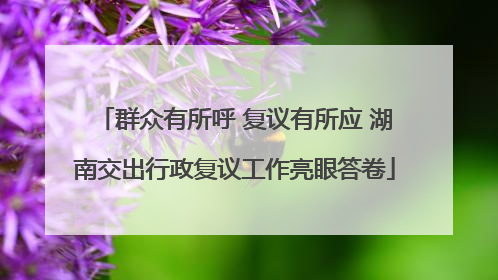 群众有所呼 复议有所应 湖南交出行政复议工作亮眼答卷
