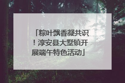 粽叶飘香凝共识！淳安县大墅镇开展端午特色活动