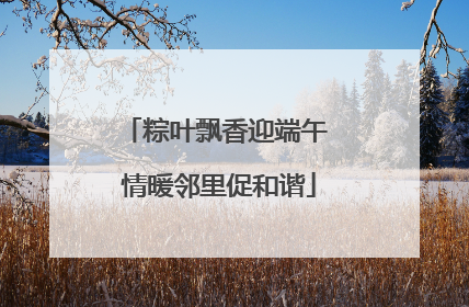 粽叶飘香迎端午 情暖邻里促和谐