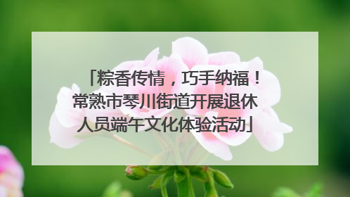 粽香传情，巧手纳福！常熟市琴川街道开展退休人员端午文化体验活动