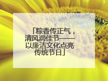 粽香传正气，清风润佳节——以廉洁文化点亮传统节日