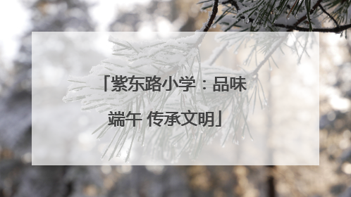 紫东路小学：品味端午 传承文明