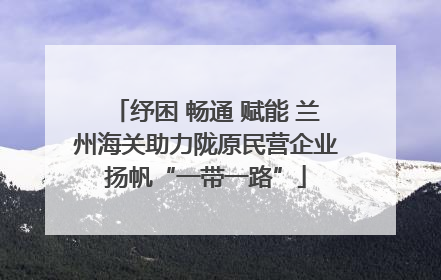 纾困 畅通 赋能 兰州海关助力陇原民营企业扬帆“一带一路”