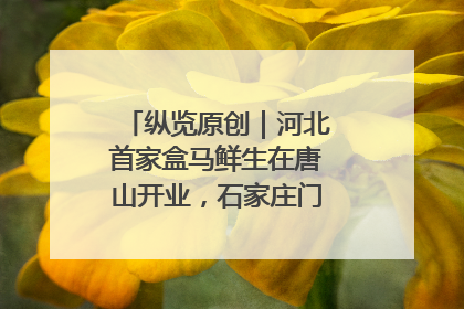 纵览原创｜河北首家盒马鲜生在唐山开业，石家庄门店预计8月开业