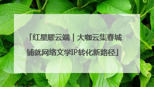 红星耀云端｜大咖云集春城 铺就网络文学IP转化新路径