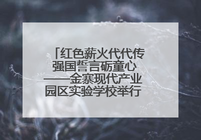 红色薪火代代传 强国誓言砺童心——金寨现代产业园区实验学校举行分批入队仪式