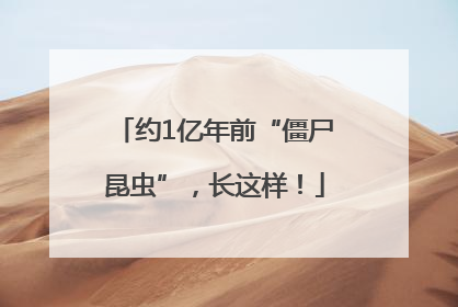 约1亿年前“僵尸昆虫”，长这样！