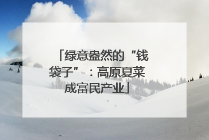 绿意盎然的“钱袋子”：高原夏菜成富民产业