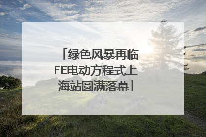 绿色风暴再临 FE电动方程式上海站圆满落幕