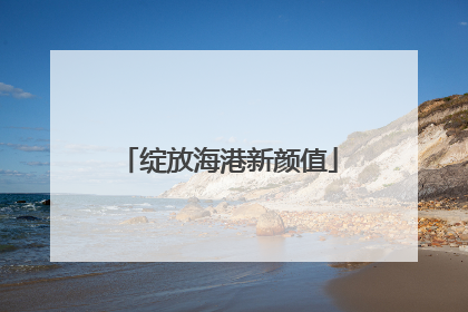 绽放海港新颜值