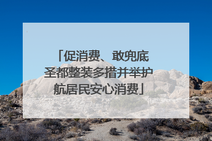 促消费、敢兜底 圣都整装多措并举护航居民安心消费