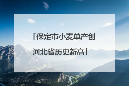 保定市小麦单产创河北省历史新高