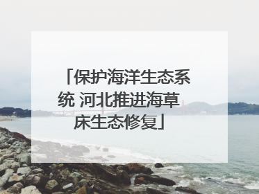 保护海洋生态系统 河北推进海草床生态修复