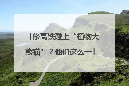 修高铁碰上“植物大熊猫”？他们这么干