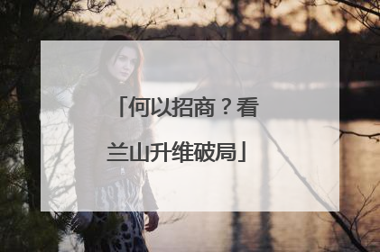 何以招商？看兰山升维破局