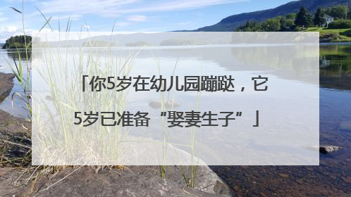 你5岁在幼儿园蹦跶，它5岁已准备“娶妻生子”