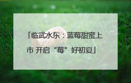 临武水东：蓝莓甜蜜上市 开启“莓”好初夏