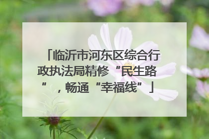 临沂市河东区综合行政执法局精修“民生路”，畅通“幸福线”