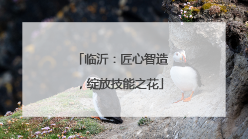 临沂：匠心智造，绽放技能之花
