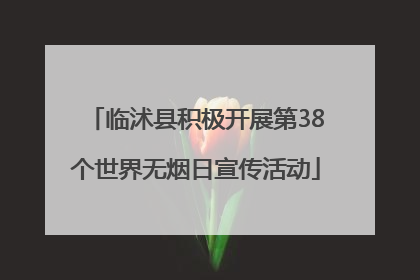 临沭县积极开展第38个世界无烟日宣传活动