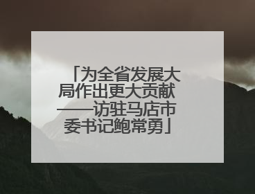 为全省发展大局作出更大贡献——访驻马店市委书记鲍常勇
