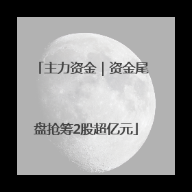 主力资金｜资金尾盘抢筹2股超亿元