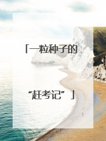 一粒种子的“赶考记”