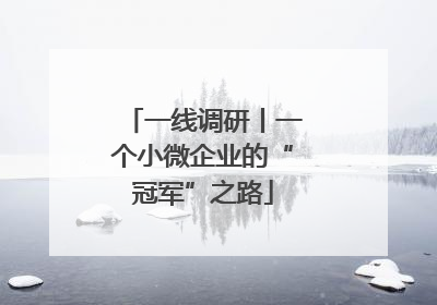 一线调研丨一个小微企业的“冠军”之路