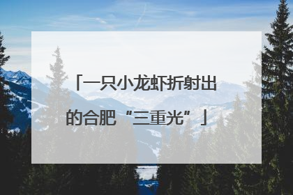 一只小龙虾折射出的合肥“三重光”