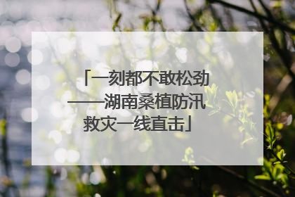 一刻都不敢松劲——湖南桑植防汛救灾一线直击