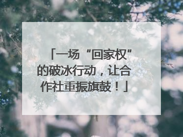 一场“回家权”的破冰行动，让合作社重振旗鼓！