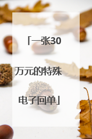 一张30万元的特殊电子回单