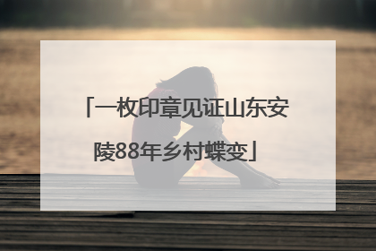 一枚印章见证山东安陵88年乡村蝶变