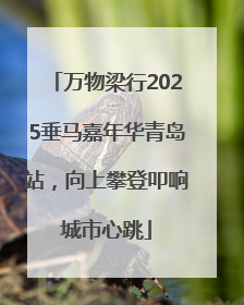 万物梁行2025垂马嘉年华青岛站，向上攀登叩响城市心跳
