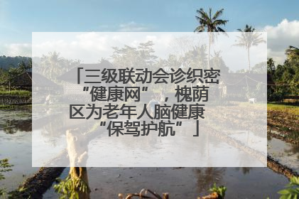 三级联动会诊织密 “健康网”，槐荫区为老年人脑健康 “保驾护航”
