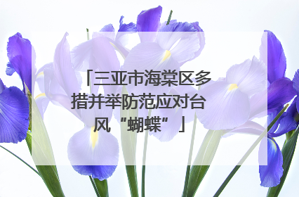 三亚市海棠区多措并举防范应对台风“蝴蝶”