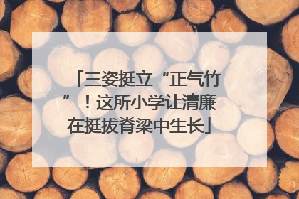 三姿挺立“正气竹”！这所小学让清廉在挺拔脊梁中生长