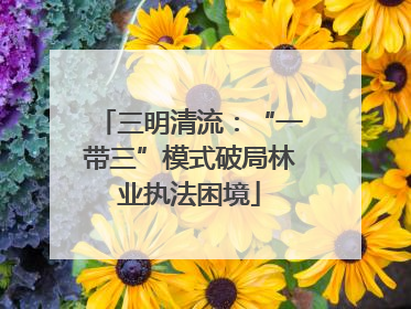 三明清流：“一带三”模式破局林业执法困境